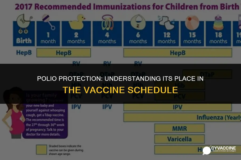 is polio on the vaccine schedule
