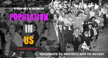 Polio in the US: Vaccinated Population and Misconceptions Explored