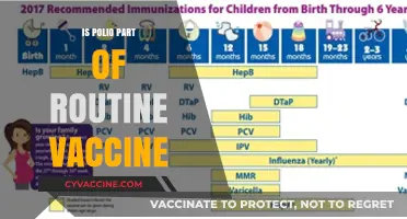 Polio Protection: Is It Part of Your Routine Vaccine Schedule?