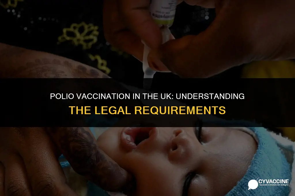 is polio vaccination mandatory in uk