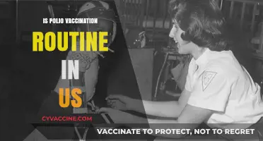 Polio Vaccination: A Routine Yet Vital Part of US Healthcare