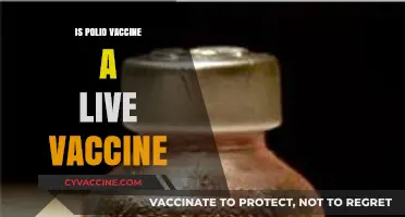 Is the Polio Vaccine Live? Understanding Its Type and Safety