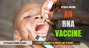 Unraveling the Mystery: Polio Vaccine and RNA Technology