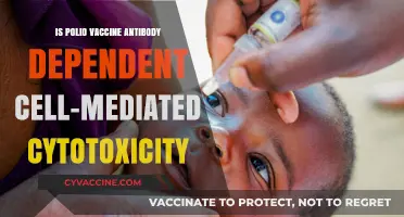 Polio Vaccine and Antibody-Dependent Cell-Mediated Cytotoxicity: Unraveling the Science