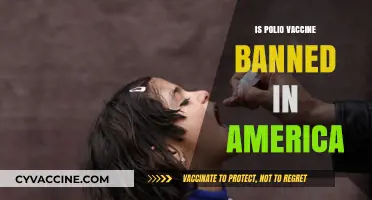 Polio Vaccine Controversy: Understanding the Facts Behind the Myths