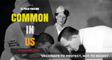 Polio Vaccine Prevalence in the US: A Comprehensive Overview