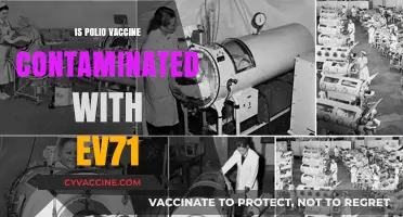 Unveiling the Truth: Polio Vaccine and EV71 Contamination Myths
