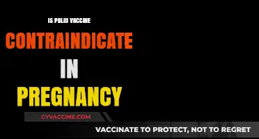 Polio Vaccine Safety: What Expectant Mothers Need to Know