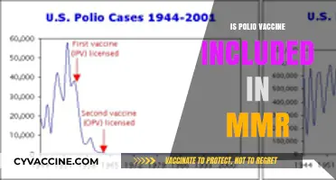 Polio Vaccine and MMR: What You Need to Know