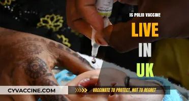 Polio Vaccine in the UK: Live or Inactivated?