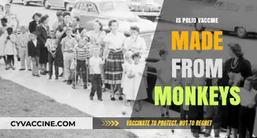 Exploring the Origins: The Truth Behind Polio Vaccines and Monkeys