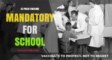 Polio Vaccine Mandate: What You Need to Know for School Enrollment