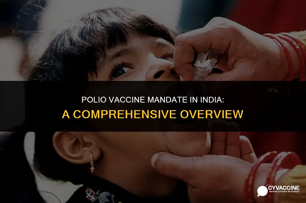 is polio vaccine mandatory in india