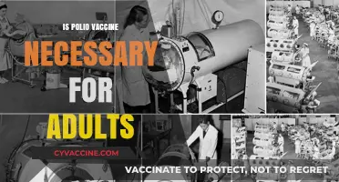 Polio Vaccine for Adults: Unraveling the Necessity and Benefits