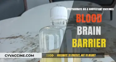Polysorbate 80 in Vaccines: Surfactant Role and Blood-Brain Barrier Impact