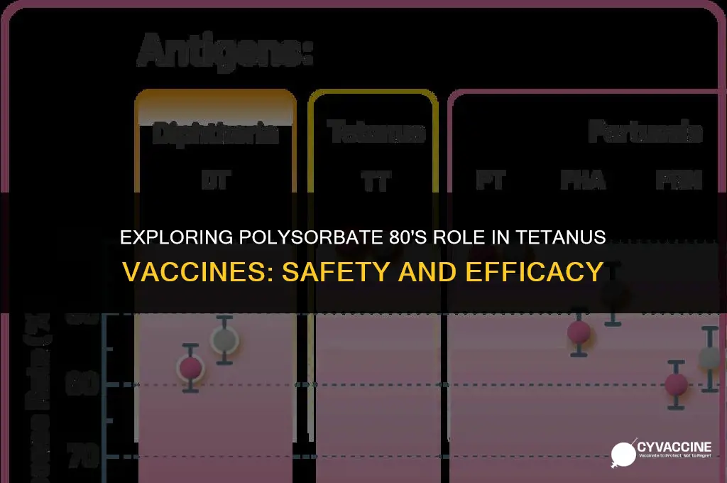is polysorbate 80 in tetanus vaccine