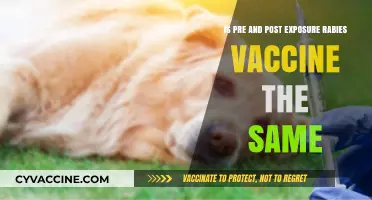 Pre vs. Post-Exposure Rabies Vaccine: Are They the Same?
