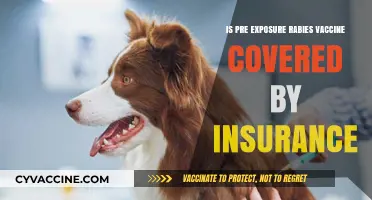 Is Pre-Exposure Rabies Vaccine Covered by Insurance? What You Need to Know