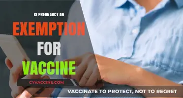 Pregnancy and Vaccines: Separating Myths from Facts