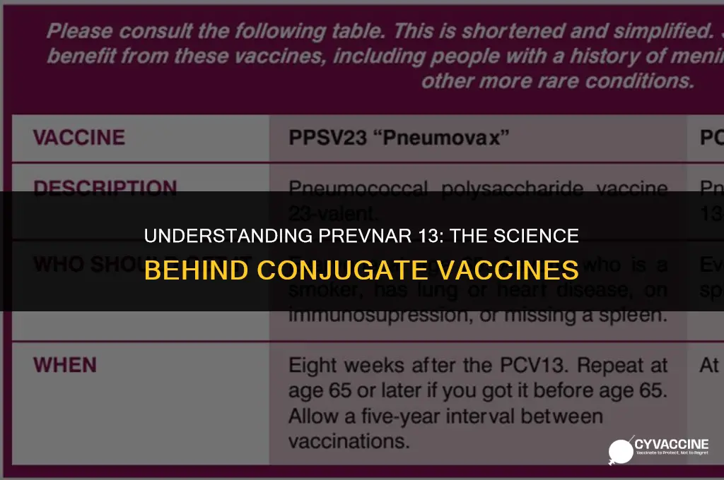 is prevnar 13 a conjugate vaccine