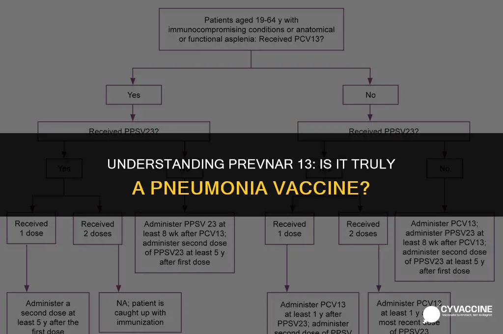 is prevnar 13 a pneumonia vaccine
