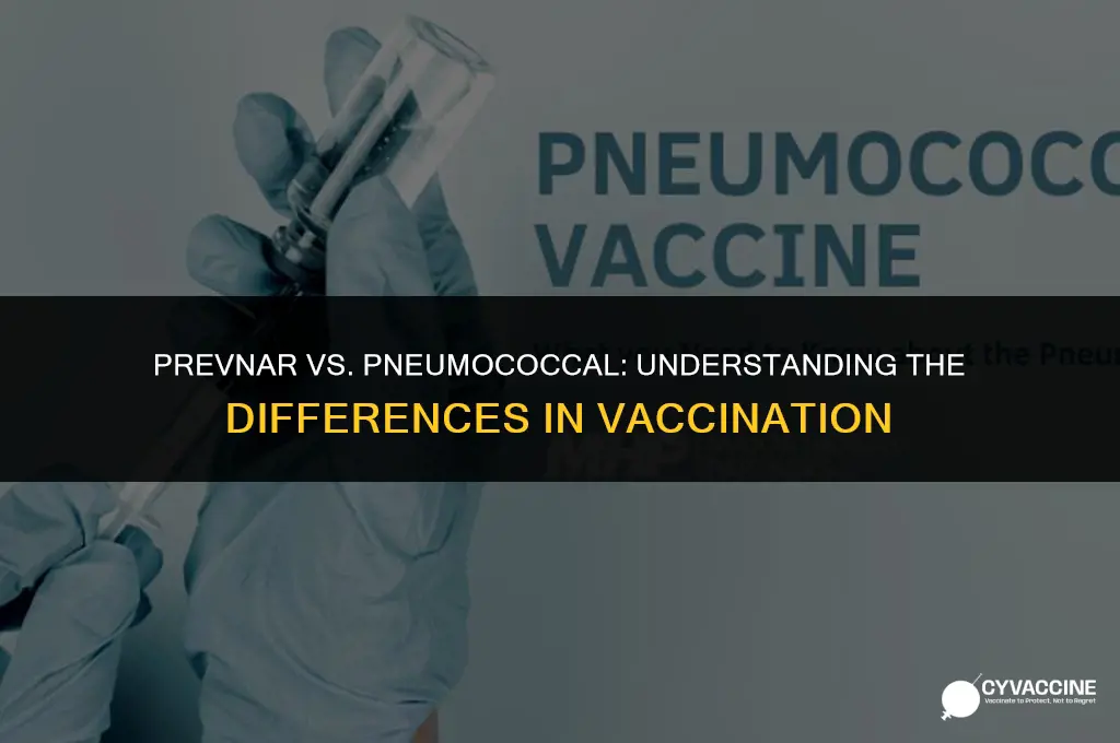 is prevnar vaccine same as pnemococcal