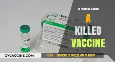 Understanding PureVax Rabies: Is It a Killed Vaccine?