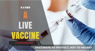 Understanding Q Fever Vaccination: Myths, Facts, and Protection