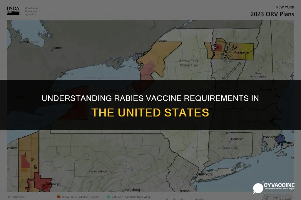 is rabie vaccine mandatory in us