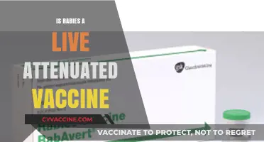 Understanding Rabies Vaccination: Live Attenuated or Not?