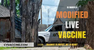 Understanding Rabies Vaccines: Are They Modified Live?