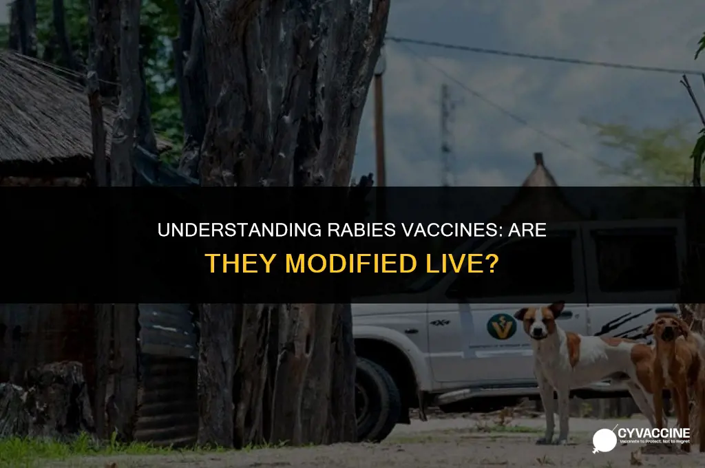 is rabies a modified live vaccine