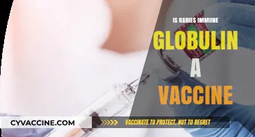 Understanding Rabies Immune Globulin: Is It a Vaccine?