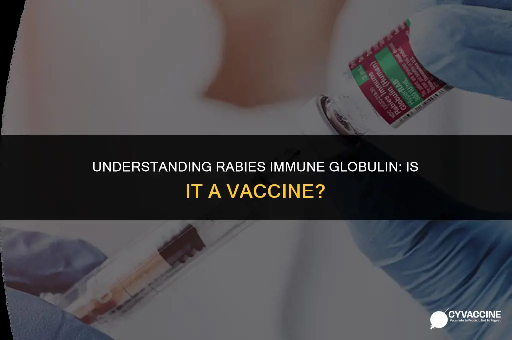 is rabies immune globulin a vaccine