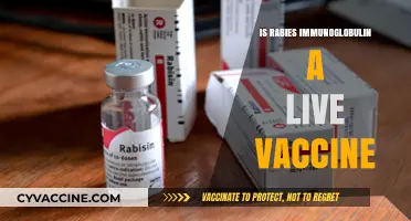 Understanding Rabies Immunoglobulin: Is It a Live Vaccine?