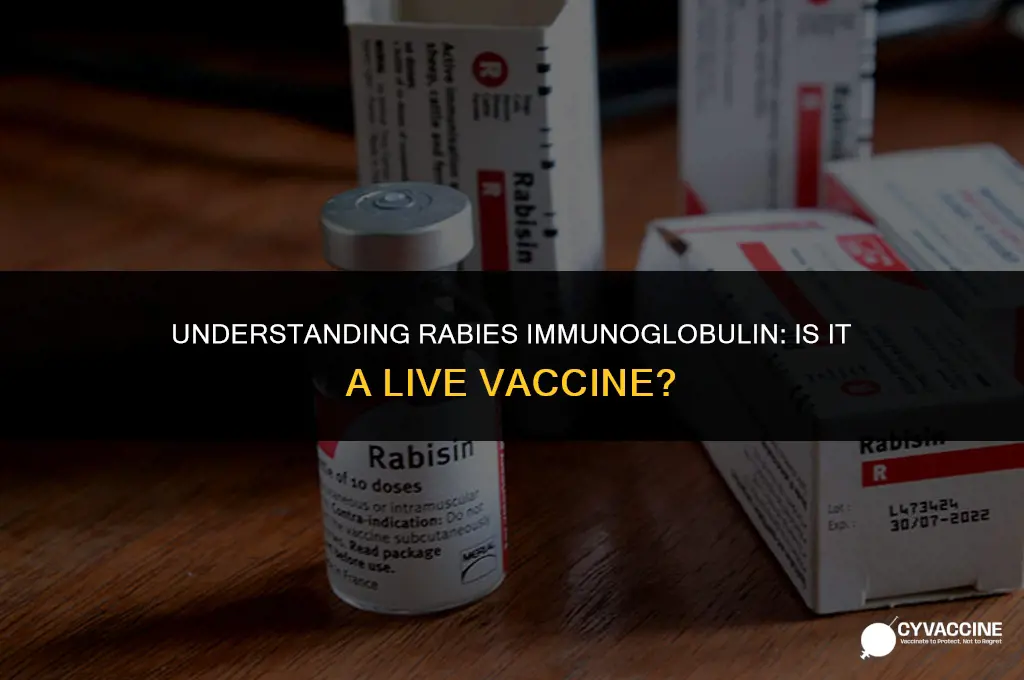 is rabies immunoglobulin a live vaccine