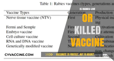Understanding Rabies Vaccines: Live vs. Killed - What's Best?