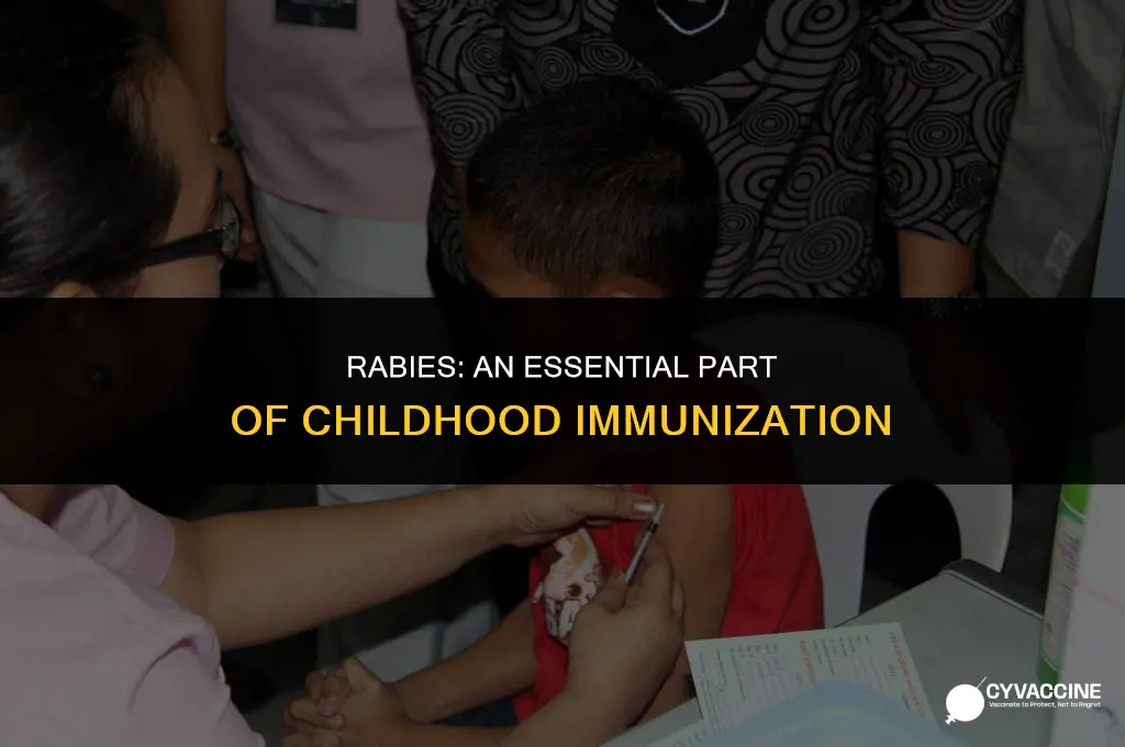 is rabies part of childhood vaccine