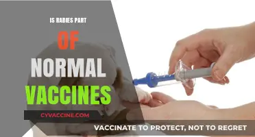 Understanding Rabies Vaccination: Is It Part of Routine Immunizations?