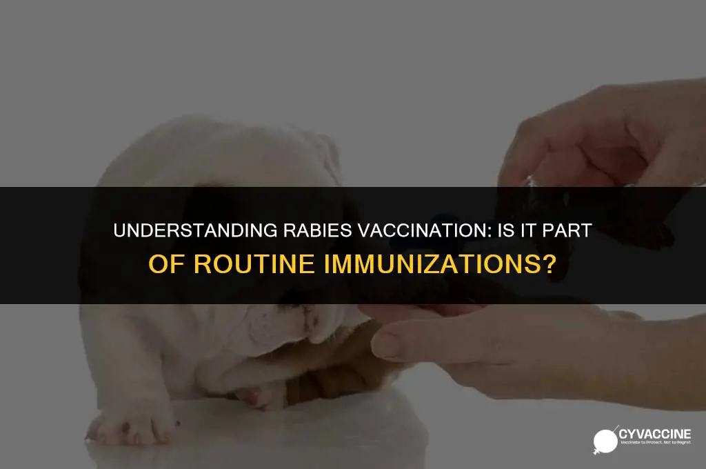 is rabies part of normal vaccines