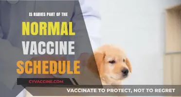 Is Rabies Included in Routine Vaccination Schedules? What You Need to Know