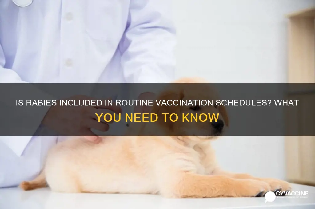 is rabies part of the normal vaccine schedule