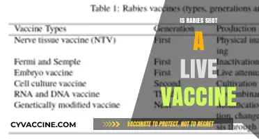 Understanding Rabies Vaccination: Live or Inactivated?
