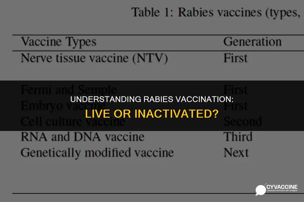 is rabies shot a live vaccine