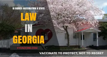 Is Rabies Vaccination Required by Georgia State Law?
