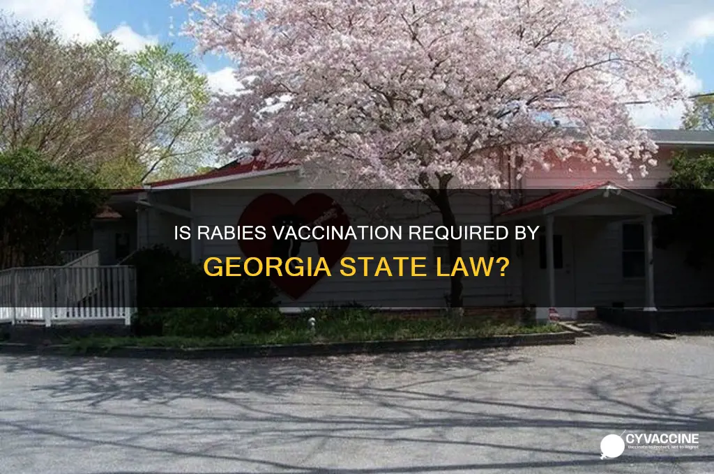 is rabies vaccination a state law in georgia