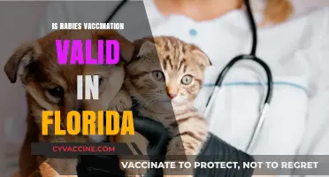 Florida Rabies Vaccination: Staying Current and Compliant