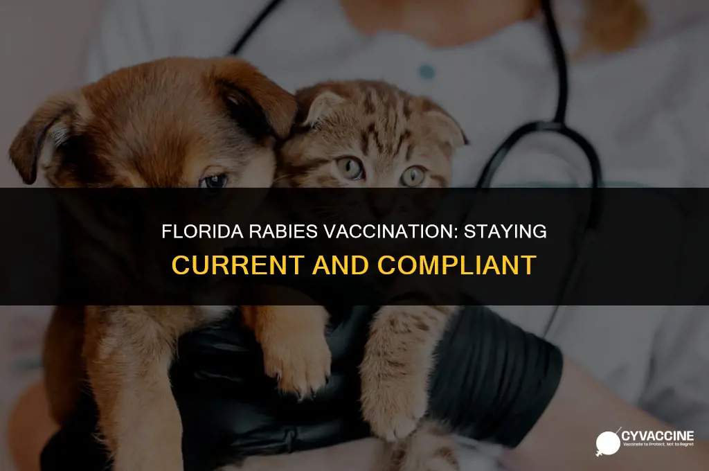 is rabies vaccination valid in florida
