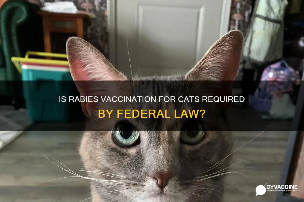 is rabies vaccine a for cats a federal law