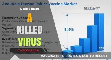 Understanding Rabies Vaccines: Killed Virus vs. Live Attenuated